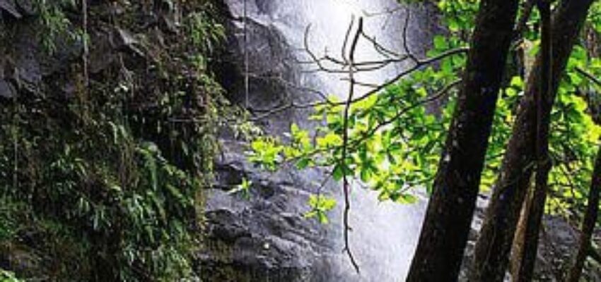 cascade d'eau Bride's Veil