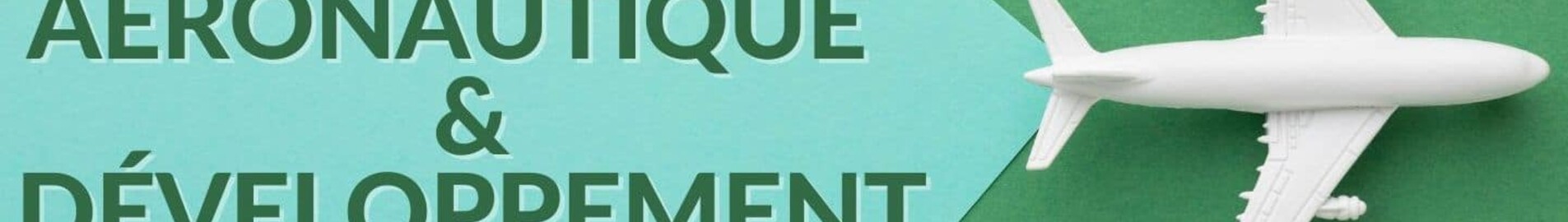 A repüléstechnikai ipar előtt álló kihívások a fenntartható fejlődéssel összefüggésben