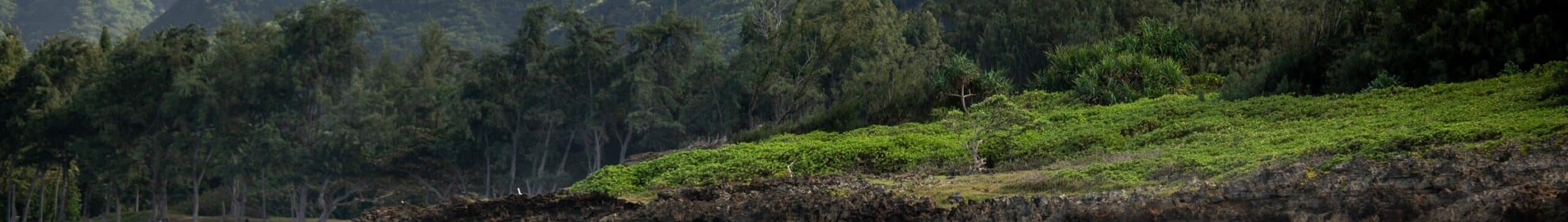 Hawaii : Magánrepülőgép- és helikopterkölcsönzés