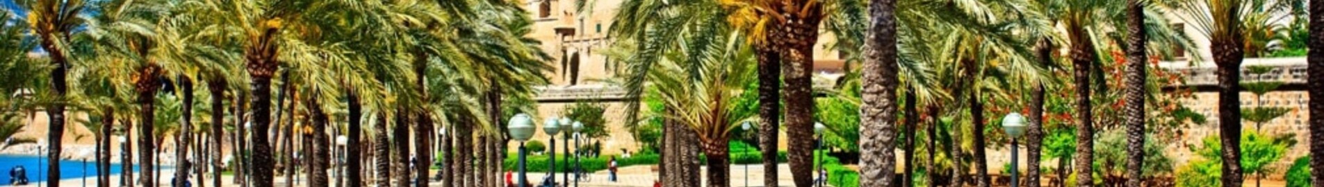 Nápoly - Palma de Mallorca : magánrepülőgép bérlés
