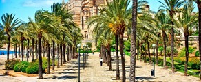 Nápoly - Palma de Mallorca : magánrepülőgép bérlés