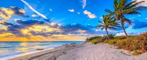 Genf - Palm Beach : magánrepülőgép bérlés