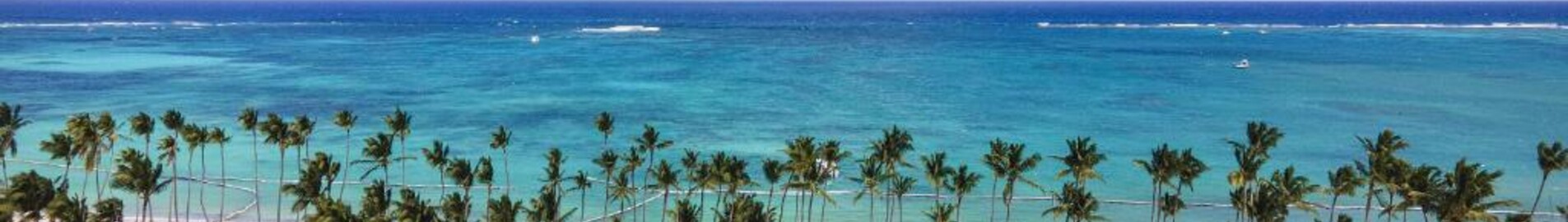 Palm Beach : magánrepülőgép bérlés