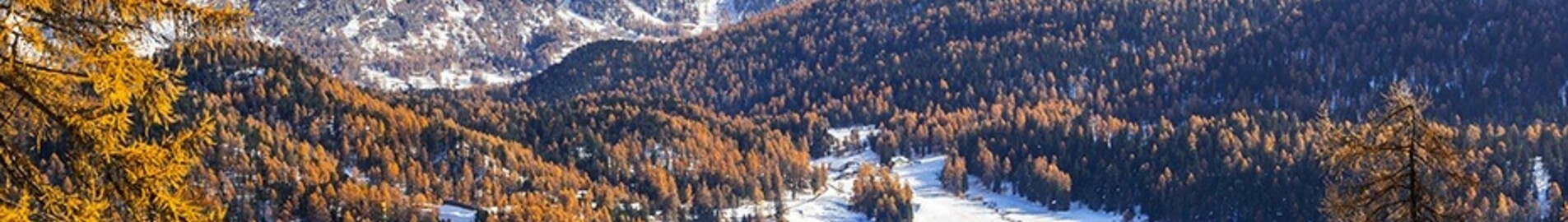 Saint-Tropez - Saint-Moritz Samedan : magánrepülőgép bérlés
