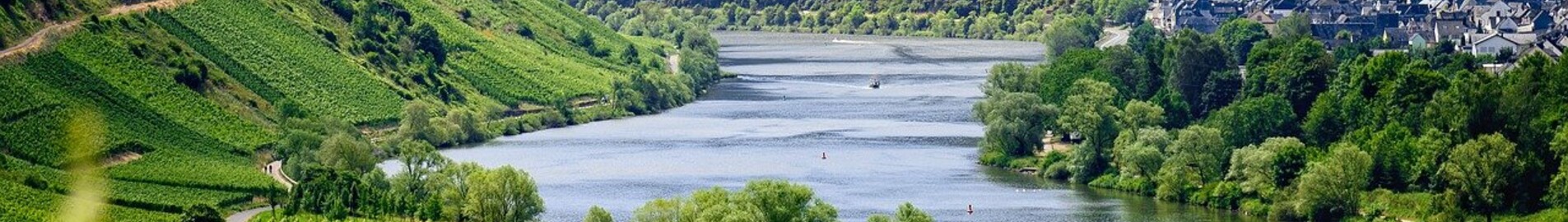 Európai szőlőültetvények, amelyeket magánrepülővel lehet meglátogatni
