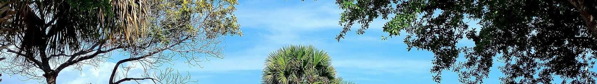Los Angeles - Tampa : magánrepülőgép bérlés
