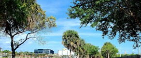 Los Angeles - Tampa : magánrepülőgép bérlés