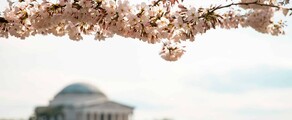 Las Vegas - Washington DC : magánrepülőgép bérlés