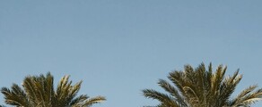Houston - Orlando : magánrepülőgép bérlés