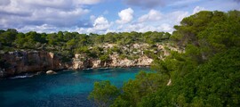 Zürich - Palma de Mallorca : magánrepülőgép bérlés