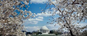Los Angeles - Washington DC : magánrepülőgép bérlés