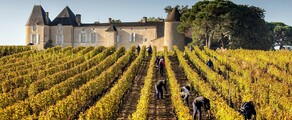 Bordeaux-i szőlőültetvények: helikopteres élmény