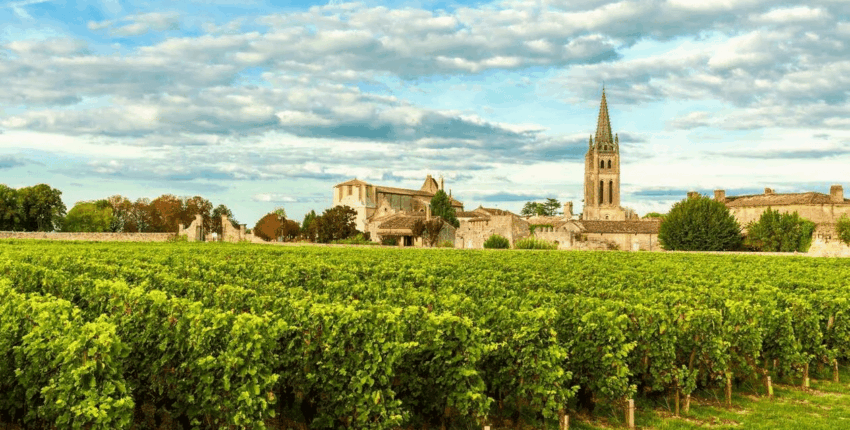 Bordeaux-i szőlőültetvények: helikopteres élmény